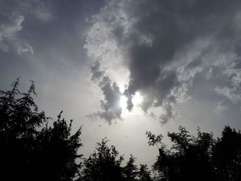 Low angle view of silhouette trees against sky