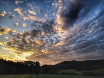 Silhouette trees on field against sky at sunset