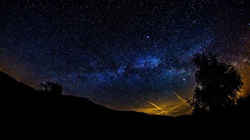 Silhouette trees against sky at night