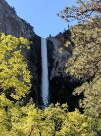 Scenic view of waterfall in forest against clear sky