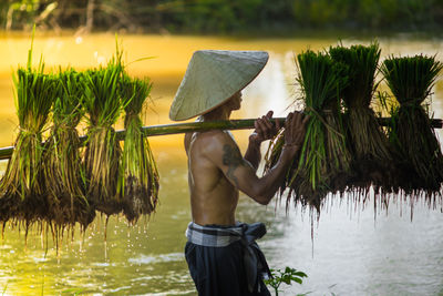 Shirtless male farmer carrying crops in river