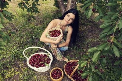 Portrait of smiling woman holding basket while harvesting cherries on trees