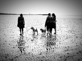 Rear view of people walking on beach against clear sky