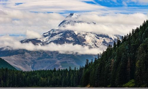 Trees against rocky mountains