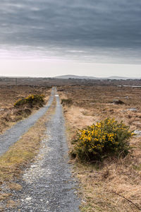 Surface level of country road against cloudy sky