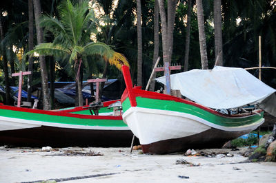 Boat moored on beach against trees in forest