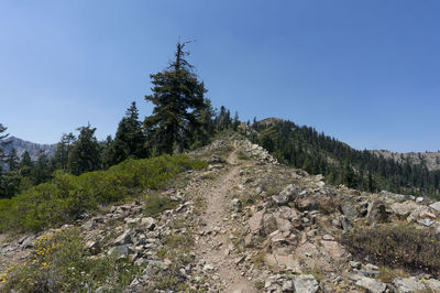 Scenic view of landscape against clear blue sky