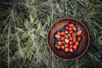 High angle view of fruits in basket on field