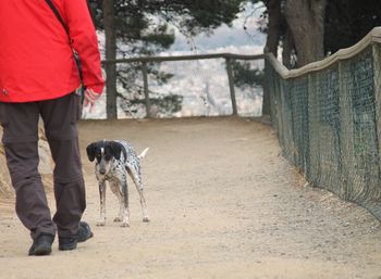 Low section of man walking by stray dog on footpath