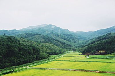 Scenic view of green landscape