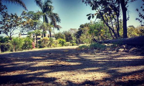 Dirt road passing through landscape