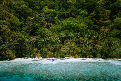 Scenic view of sea against trees in forest