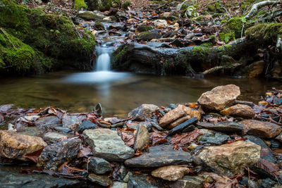 Water flowing through rocks in forest