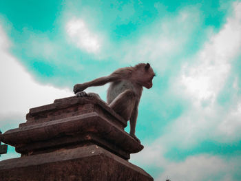 Low angle view of monkey sitting on roof against sky