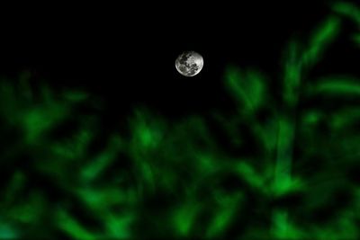 Close-up of moon at night