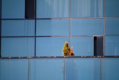 Full frame shot of window