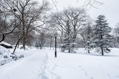 Bare trees on snow covered field against sky