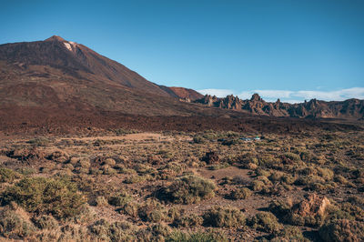 Scenic view of landscape against clear blue sky