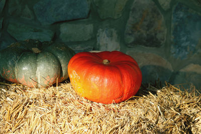 Pumpkins on field