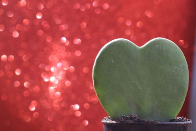 Close-up of heart shape cake