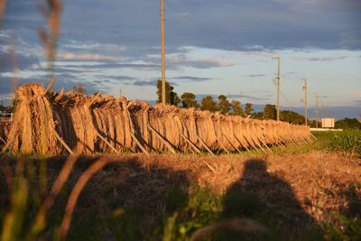 Hay bales on field against sky