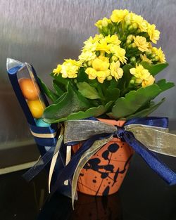 Close-up of yellow flowering plant on table