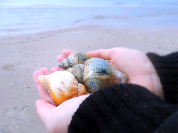 Close-up of hand holding sand at beach