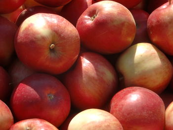 Full frame shot of apples 