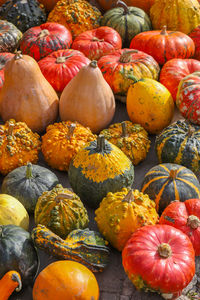 High angle view of pumpkins in market