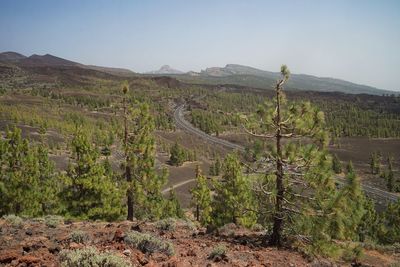 Scenic view of landscape against clear sky