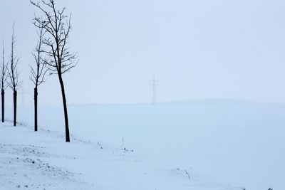 Bare trees on snow field against sky during winter