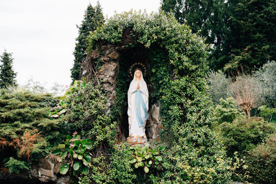 Woman standing by plants