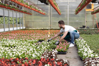 Rear view of man standing in greenhouse