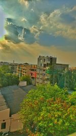 Plants and houses against sky in city