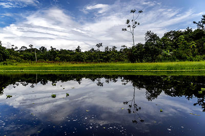 Reflection of trees on lake against sky