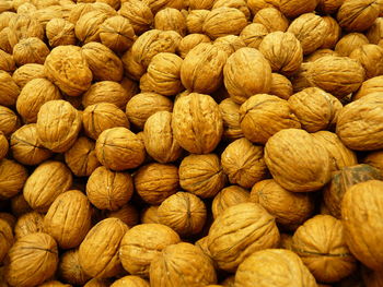 In-shell walnuts are drupes of the genus juglans