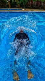 Close-up of jellyfish swimming in pool