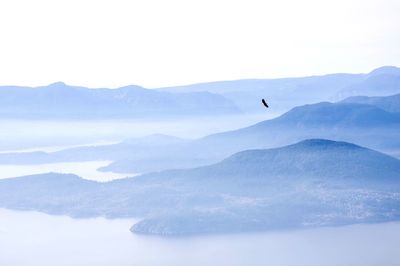 Eagle flying over mountains against sky during foggy weather