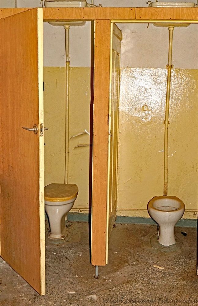 bathroom, toilet, indoors, no people, domestic room, door, entrance, public restroom, architecture, toilet bowl, built structure, home, domestic bathroom, hygiene, wall - building feature, public building, day, household equipment, abandoned, wood - material
