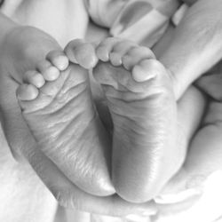 Close-up of hand holding flower