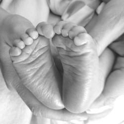 Close-up of hand holding flower