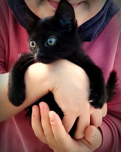 Midsection of woman with cat