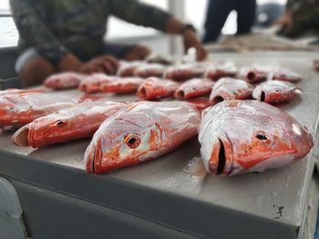 Close-up of fish for sale in market