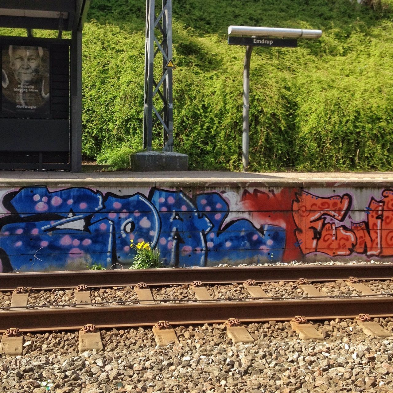 art, graffiti, creativity, art and craft, metal, day, plant, green color, no people, outdoors, high angle view, growth, multi colored, wall - building feature, sunlight, grass, park - man made space, fence, pattern, metallic