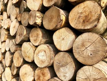 Full frame shot of logs in forest