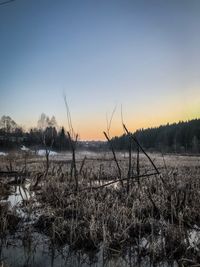 Scenic view of field against clear sky during sunset