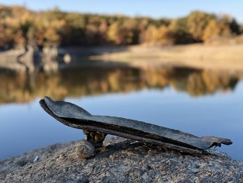 Close-up of driftwood on rock by lake