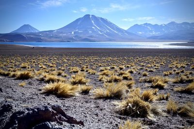 Scenic view of snowcapped mountains against sky