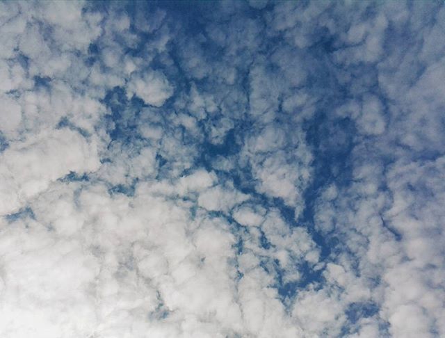 sky, cloud - sky, low angle view, backgrounds, beauty in nature, full frame, sky only, cloudy, tranquility, white color, nature, scenics, cloudscape, tranquil scene, blue, cloud, weather, day, white, idyllic