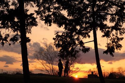 Silhouette trees on landscape against sunset sky